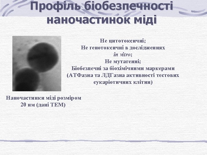 Профіль біобезпечності наночастинок міді Не цитотоксичні; Не генотоксичні в дослідженнях in vitro; Не мутагенні;