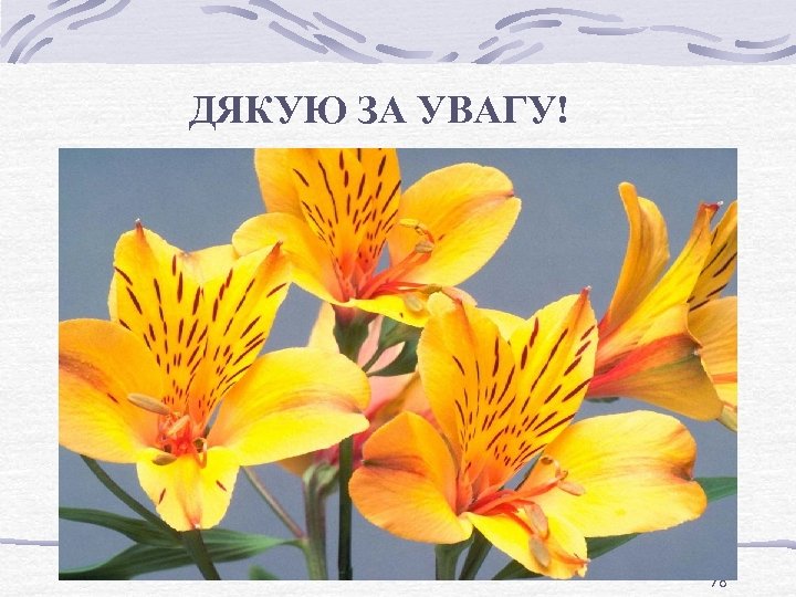 ДЯКУЮ ЗА УВАГУ! 78 