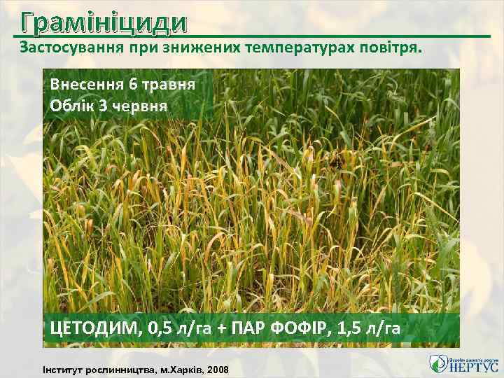 Грамініциди Застосування при знижених температурах повітря. Внесення 6 травня Облік 3 червня ЦЕТОДИМ, 0,