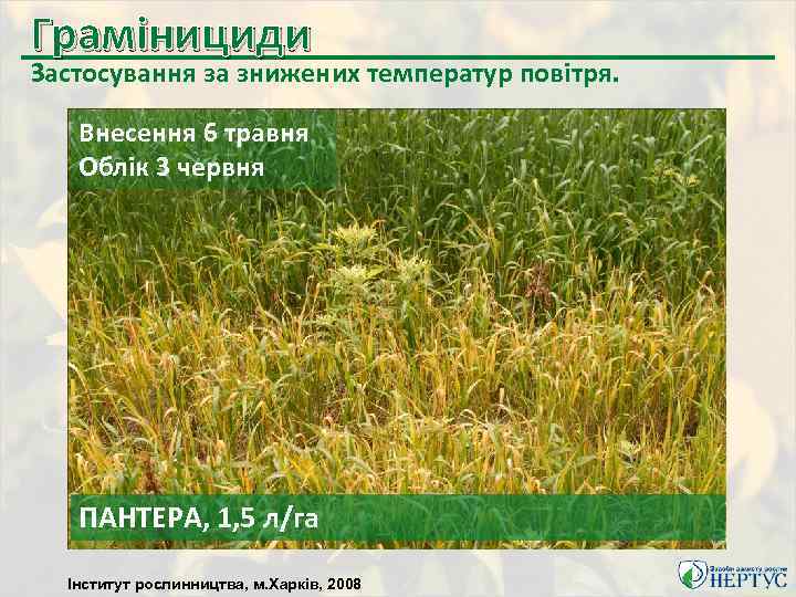 Грамінициди Застосування за знижених температур повітря. Внесення 6 травня Облік 3 червня ПАНТЕРА, 1,