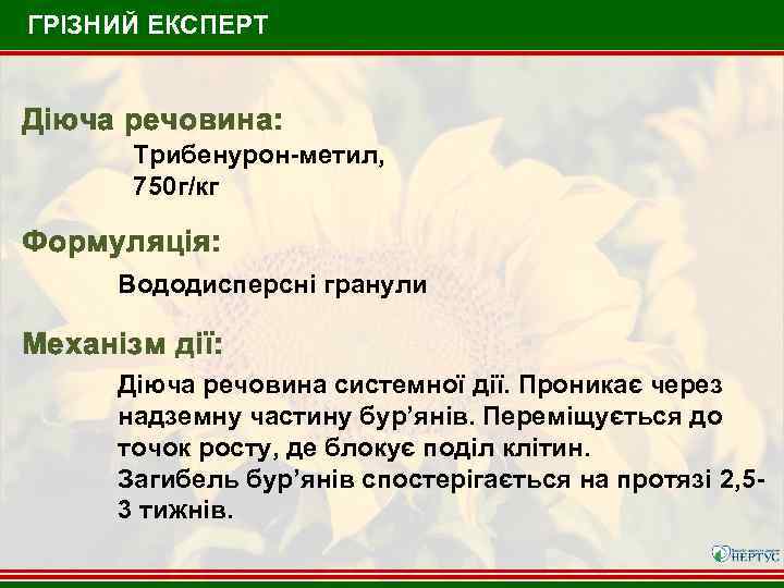 ГРІЗНИЙ ЕКСПЕРТ Діюча речовина: Трибенурон-метил, 750 г/кг Формуляція: Вододисперсні гранули Механізм дії: Діюча речовина