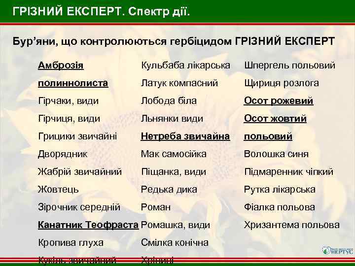 ГРІЗНИЙ ЕКСПЕРТ. Спектр дії. Бур’яни, що контролюються гербіцидом ГРІЗНИЙ ЕКСПЕРТ Амброзія Кульбаба лікарська Шпергель