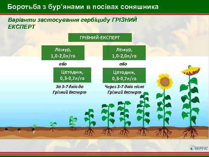 Боротьба з бур’янами в посівах соняшника Варіанти застосування гербіциду ГРІЗНИЙ ЕКСПЕРТ ГРІЗНИЙ-ЕКСПЕРТ Лемур, 1,
