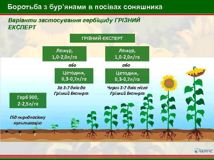 Боротьба з бур’янами в посівах соняшника Варіанти застосування гербіциду ГРІЗНИЙ ЕКСПЕРТ ГРІЗНИЙ-ЕКСПЕРТ Лемур, 1,