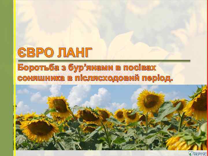 ЄВРО ЛАНГ Боротьба з бур’янами в посівах соняшника в післясходовий період. 