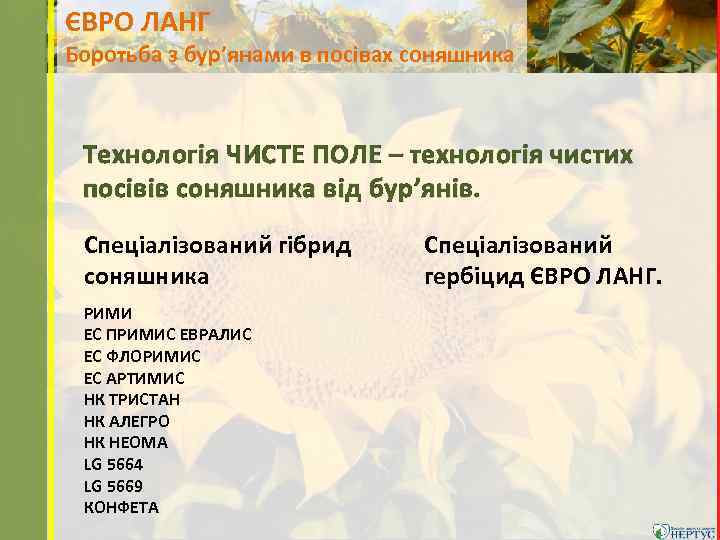 ЄВРО ЛАНГ Боротьба з бур’янами в посівах соняшника Технологія ЧИСТЕ ПОЛЕ – технологія чистих