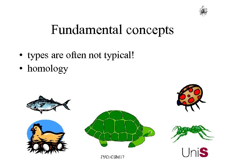 Fundamental concepts • types are often not typical! • homology JYC: CSM 17 