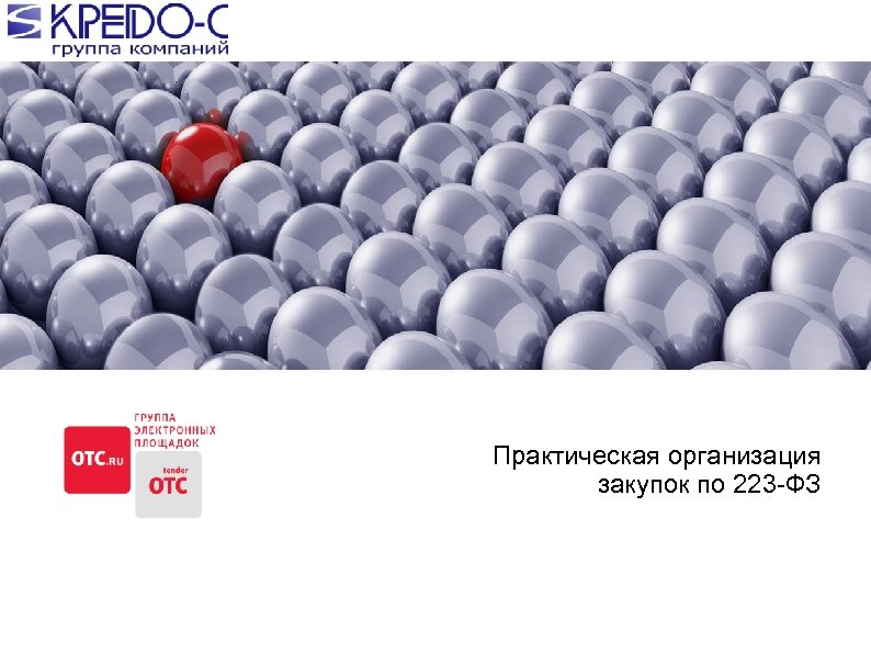  Практическая организация закупок по 223 -ФЗ 