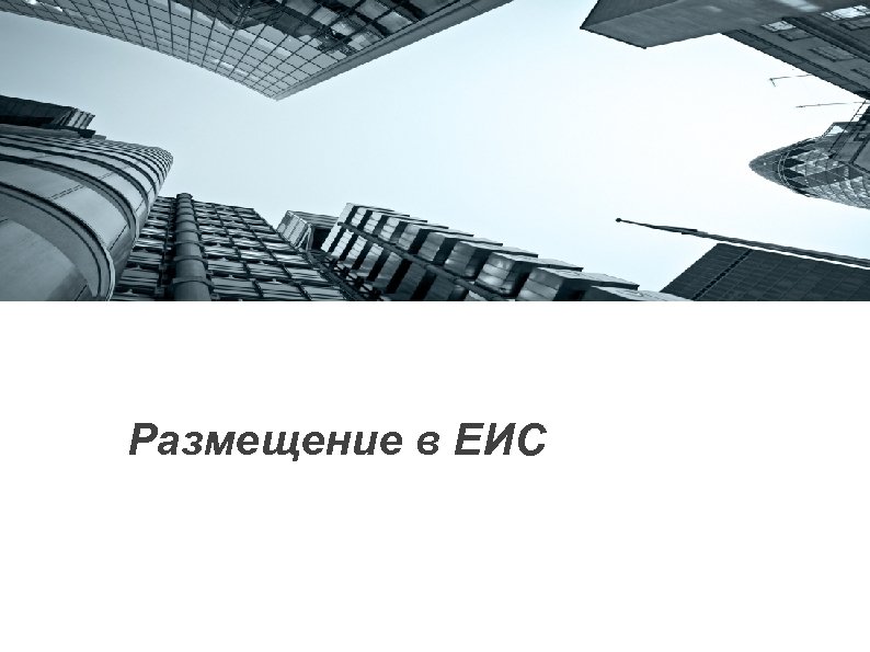 Размещение в ЕИС 