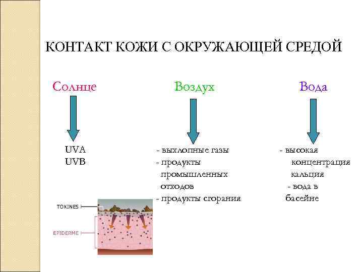 КОНТАКТ КОЖИ С ОКРУЖАЮЩЕЙ СРЕДОЙ Солнце UVA UVB Воздух - выхлопные газы - продукты