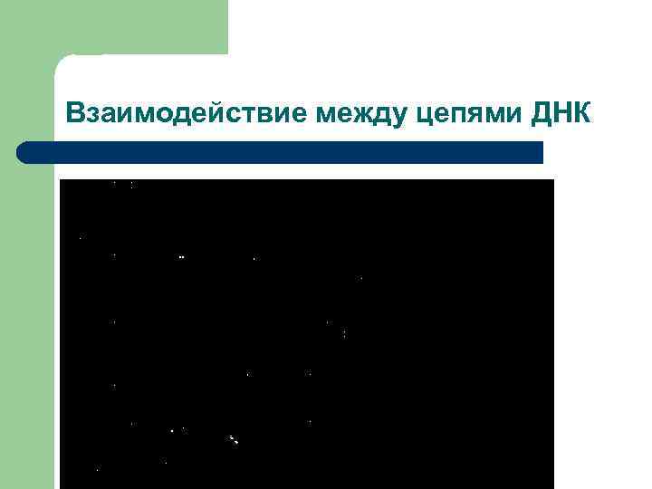 Взаимодействие между цепями ДНК 