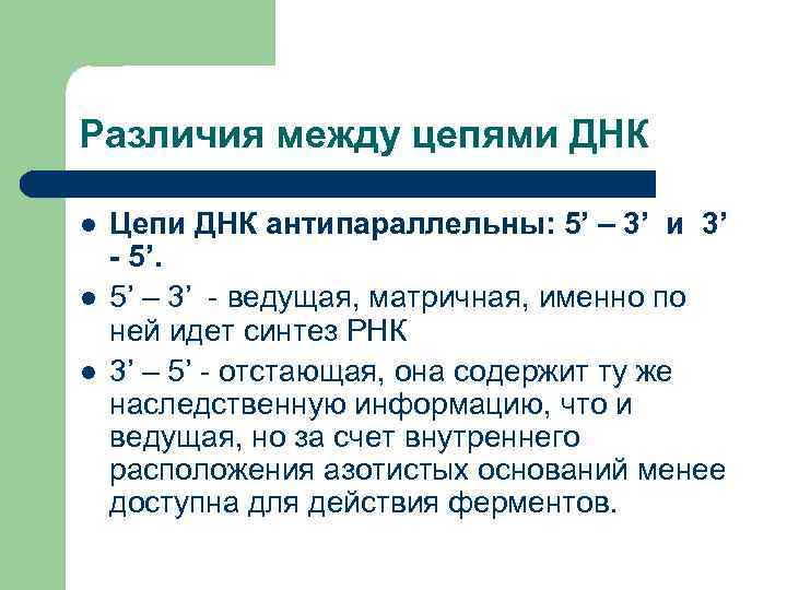 Различия между цепями ДНК l l l Цепи ДНК антипараллельны: 5’ – 3’ и