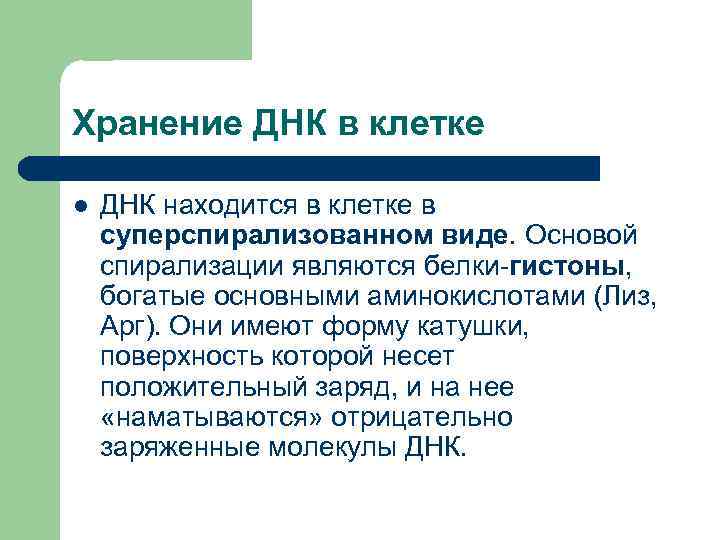 Хранение ДНК в клетке l ДНК находится в клетке в суперспирализованном виде. Основой спирализации
