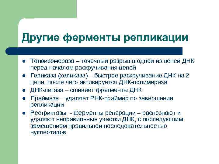 Другие ферменты репликации l l l Топоизомераза – точечный разрыв в одной из цепей