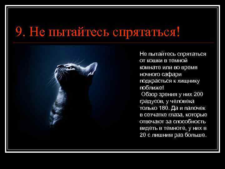 9. Не пытайтесь спрятаться! Не пытайтесь спрятаться от кошки в темной комнате или во