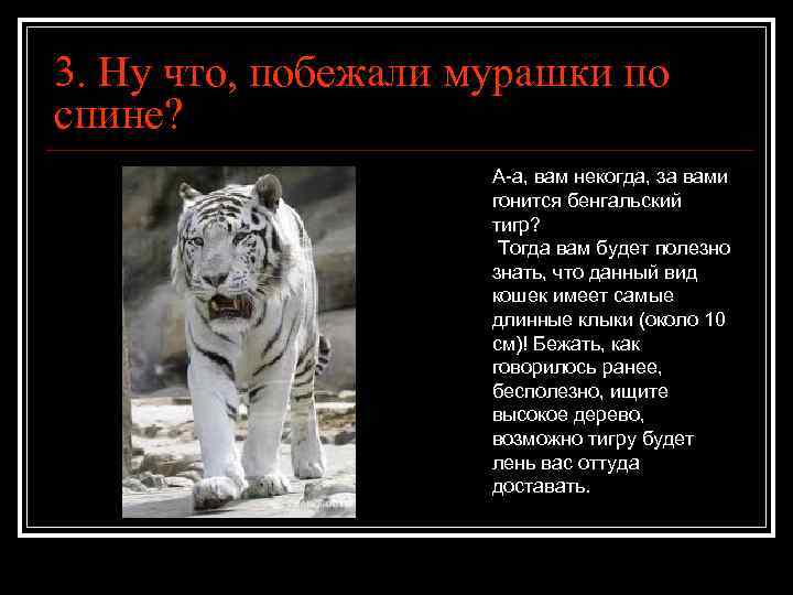 3. Ну что, побежали мурашки по спине? А-а, вам некогда, за вами гонится бенгальский