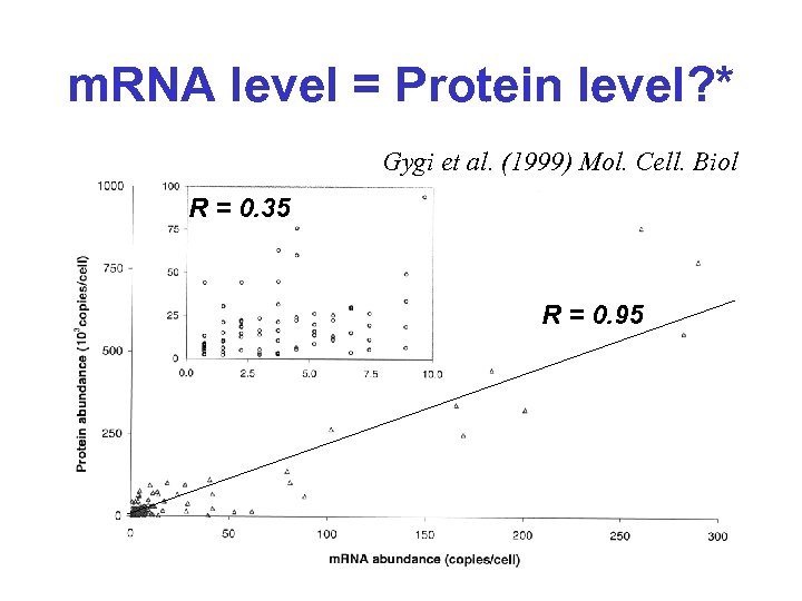 m. RNA level = Protein level? * Gygi et al. (1999) Mol. Cell. Biol