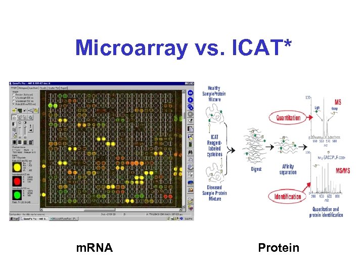 Microarray vs. ICAT* m. RNA Protein 