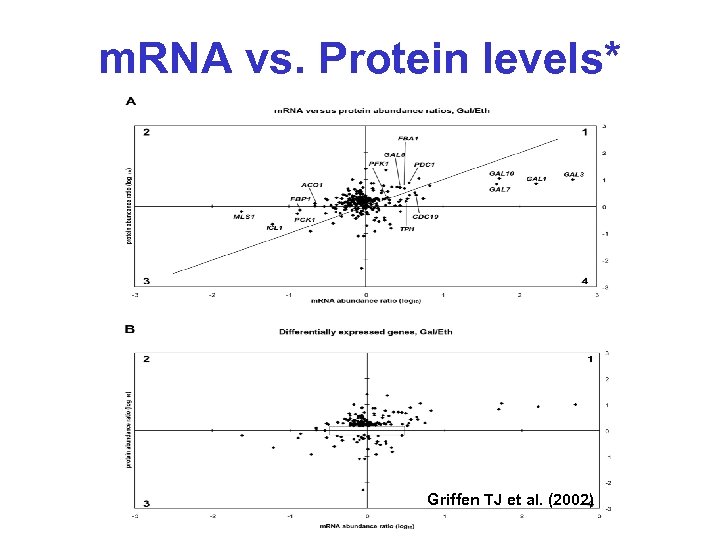 m. RNA vs. Protein levels* Griffen TJ et al. (2002) 