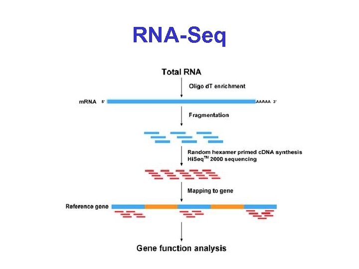 RNA-Seq 