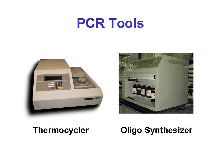 PCR Tools Thermocycler Oligo Synthesizer 