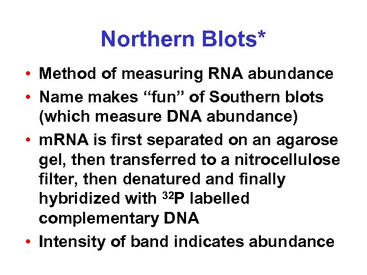 Northern Blots* • Method of measuring RNA abundance • Name makes “fun” of Southern