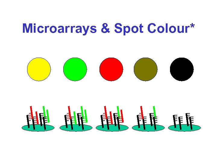 Microarrays & Spot Colour* 