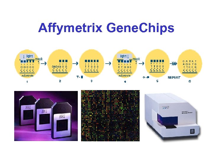 Affymetrix Gene. Chips 