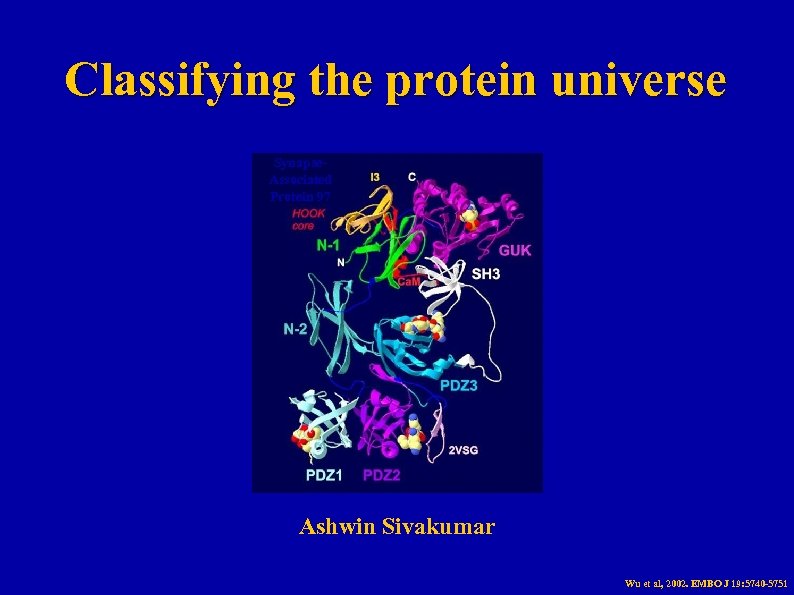 Classifying the protein universe Synapse. Associated Protein 97 Ashwin Sivakumar Wu et al, 2002.