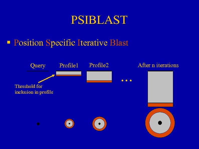 PSIBLAST § Position Specific Iterative Blast Query Threshold for inclusion in profile Profile 1