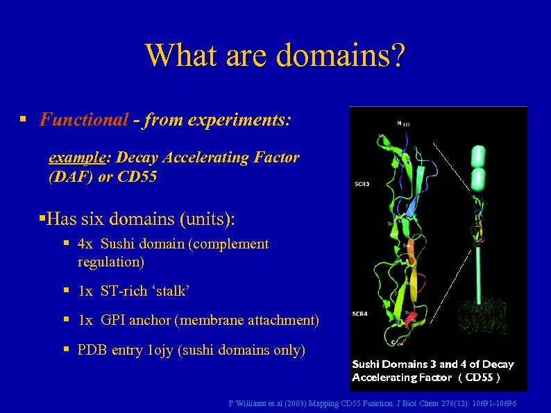 What are domains? § Functional - from experiments: example: Decay Accelerating Factor (DAF) or