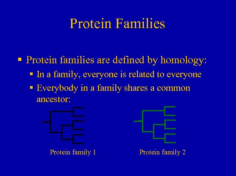 Protein Families § Protein families are defined by homology: § In a family, everyone