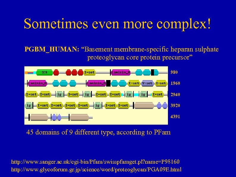 Sometimes even more complex! PGBM_HUMAN: “Basement membrane-specific heparan sulphate proteoglycan core protein precursor” 980