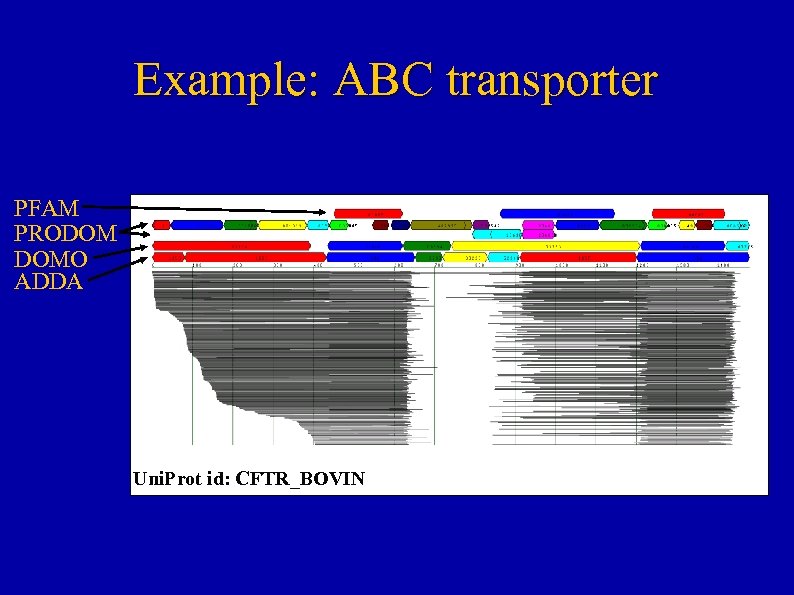 Example: ABC transporter PFAM PRODOM DOMO ADDA Uni. Prot id: CFTR_BOVIN 