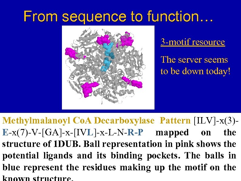From sequence to function… 3 -motif resource The server seems to be down today!