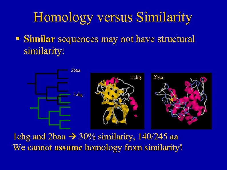 Homology versus Similarity § Similar sequences may not have structural similarity: 2 baa 1