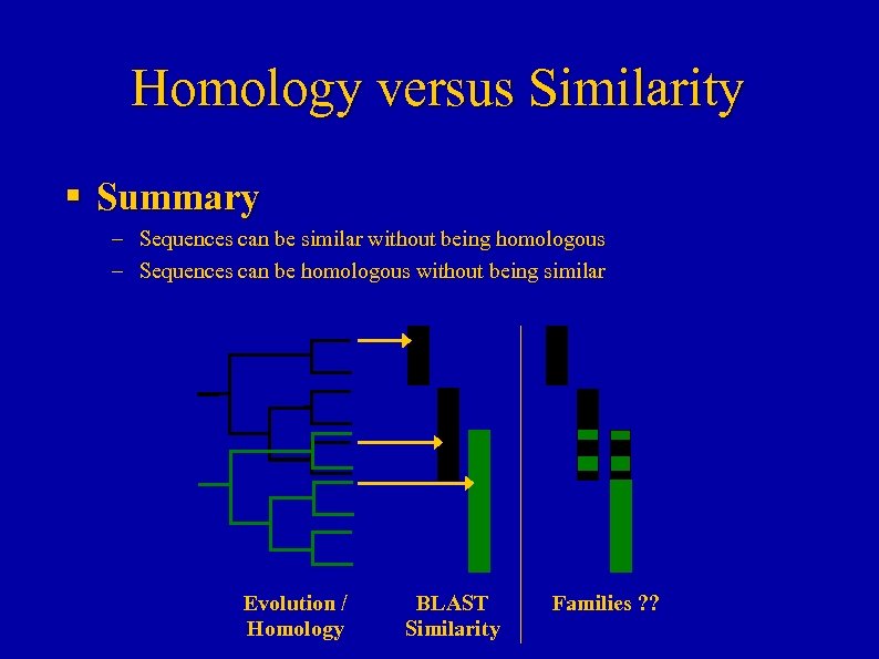 Homology versus Similarity § Summary – Sequences can be similar without being homologous –