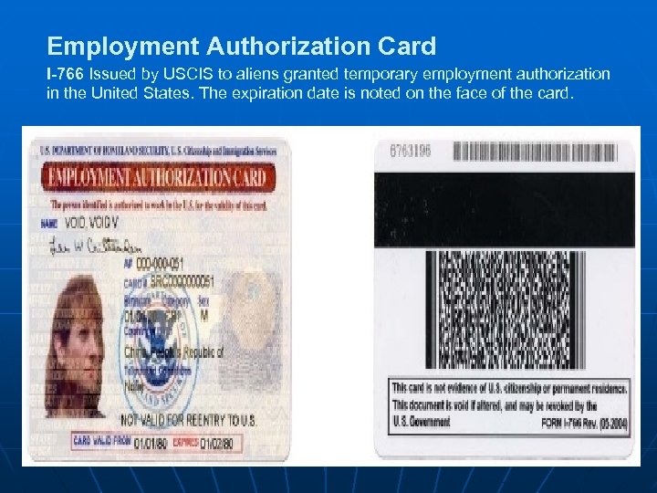 Employment Authorization Card I-766 Issued by USCIS to aliens granted temporary employment authorization in
