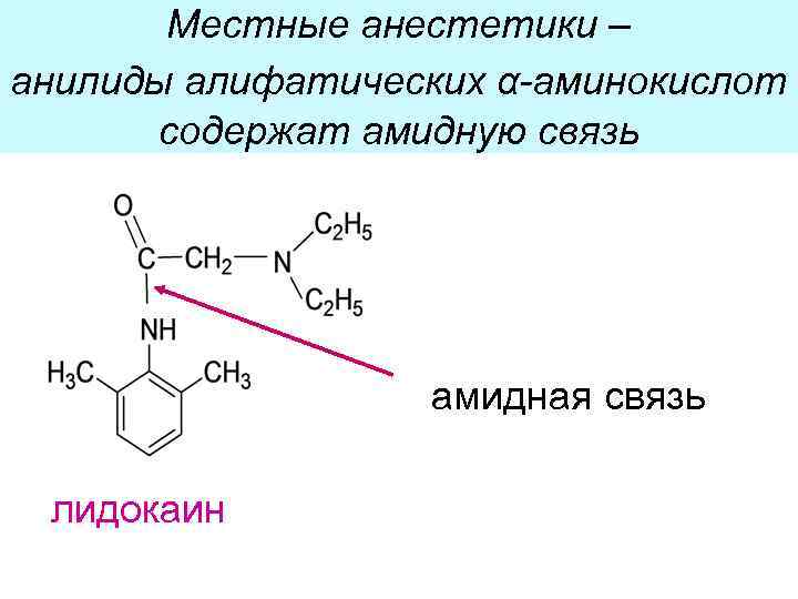 Местные анестетики – анилиды алифатических α-аминокислот содержат амидную связь амидная связь лидокаин 