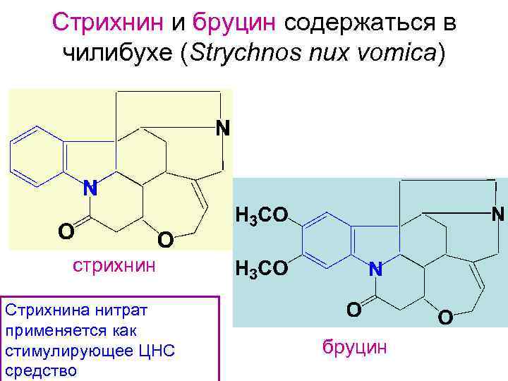 Стрихнин и бруцин содержаться в чилибухе (Strychnos nux vomica) стрихнин Стрихнина нитрат применяется как