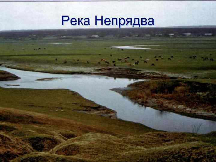 Река Непрядва 