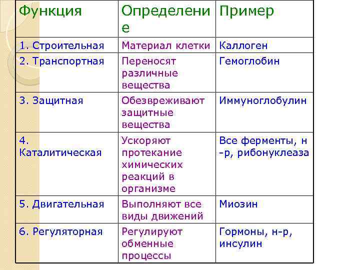 Функция Определени Пример е 1. Строительная Материал клетки Каллоген 2. Транспортная Переносят различные вещества