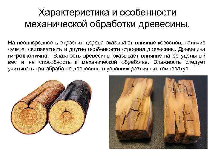 Характеристика и особенности механической обработки древесины. На неоднородность строения дерева оказывают влияние косослой, наличие