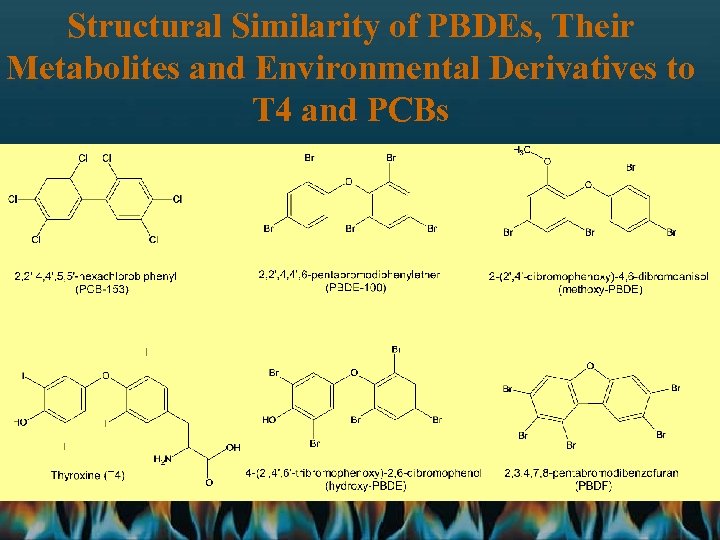 Structural Similarity of PBDEs, Their Metabolites and Environmental Derivatives to T 4 and PCBs