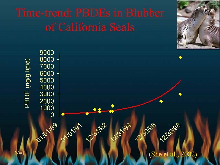Time-trend: PBDEs in Blubber of California Seals N=11 (She et al. , 2002) 