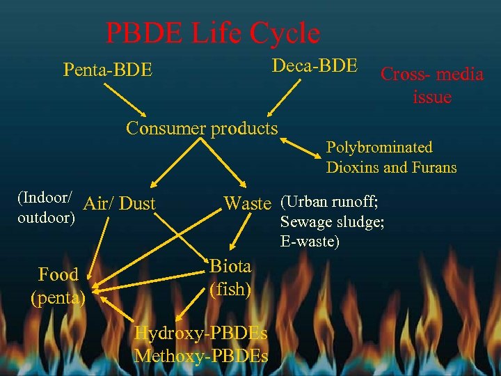 PBDE Life Cycle Deca-BDE Penta-BDE Consumer products (Indoor/ Air/ Dust outdoor) Food (penta) Cross-