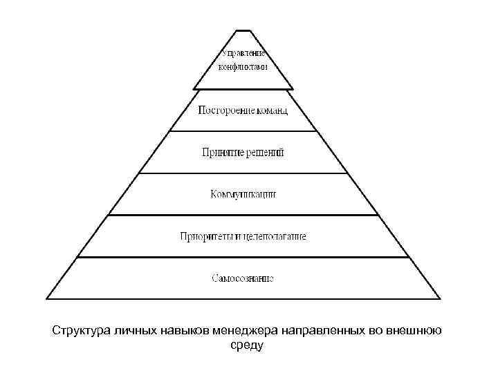 Структура личных навыков менеджера направленных во внешнюю среду 