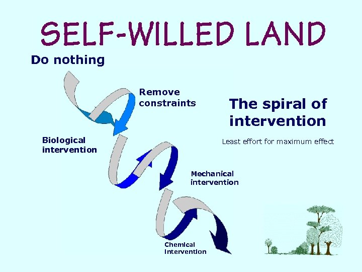 Do nothing Remove constraints Biological intervention The spiral of intervention Least effort for maximum