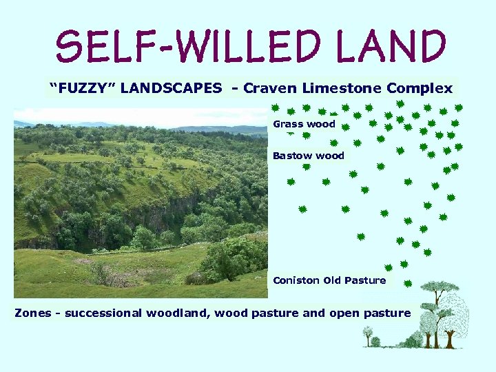 “FUZZY” LANDSCAPES - Craven Limestone Complex Grass wood Bastow wood Coniston Old Pasture Zones