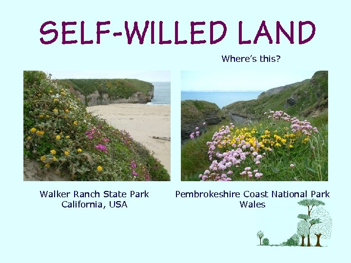 Where’s this? Walker Ranch State Park California, USA Pembrokeshire Coast National Park Wales 